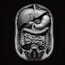 МРТ органів черевної порожнини